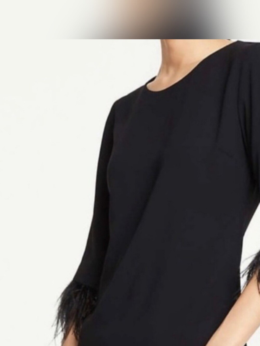 Ann Taylor Black Feather-Trim Women's Top Large